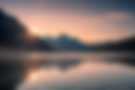 life_career_header.png
