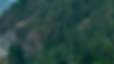 AdobeStock_622841718_edited.png