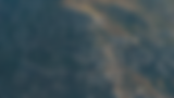what_we_do_header.png