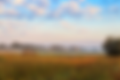 AdobeStock_227136392.png