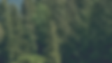 family_issues_header.png