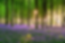 AdobeStock_1357283806.png