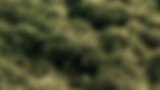 individual_header.png