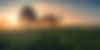 AdobeStock_120501967.png
