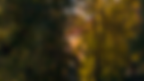 AdobeStock_293410263.png