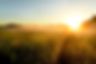 AdobeStock_329821832.png