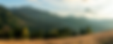 we_help_with_header.png