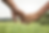pre_marital_image1.png